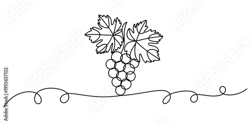 Minimalist continuous line drawing of a grape cluster with two leaves on a simple curved vine Vector, illustration