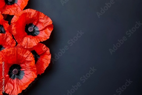 The Symbolism of Red Poppy Flowers on Anzac Day  