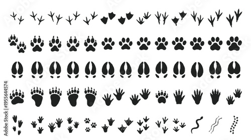 Large set of simple animal footprint and track icons in black on white background for design use