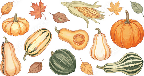 Autumn Harvest Pumpkin and Gourd Collection Vector Illustration Featuring Corn Leaves and Seasonal Fall Vegetables in Hand Drawn Style