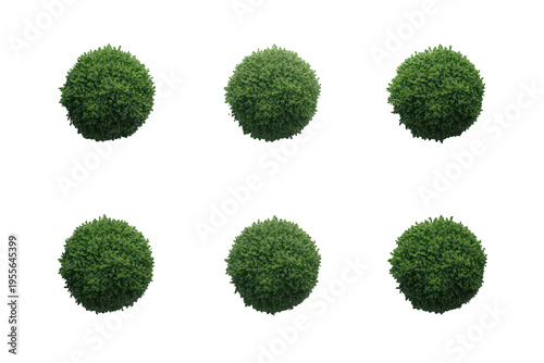 Green spherical landscape bushes with a top view, creating a natural element for architectural renders and park designs, isolated on transparent background