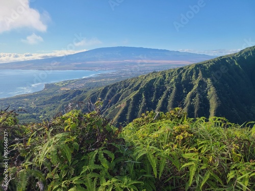 Quadro su tela Lush tropical vegetation and views of Maui volcano along the Waihee Ridge trail