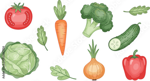 Fresh Vegetable Collection Vector Illustration Featuring Tomato Carrot Broccoli Cucumber Onion Cabbage and Bell Pepper in Clean Hand Drawn Style