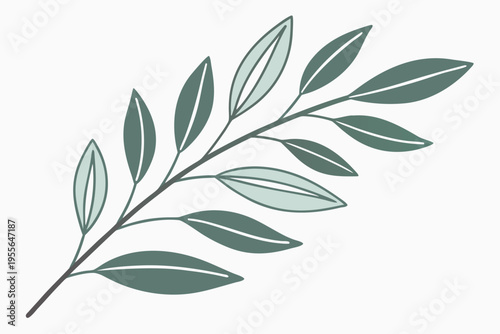 Green leaf branch on a white background nature plant