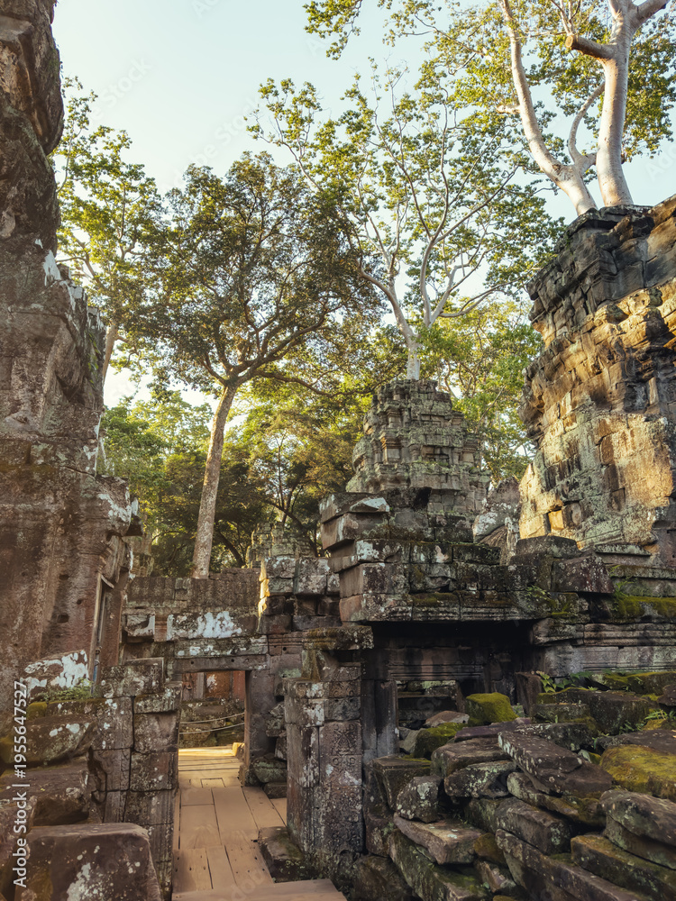 Naklejka premium Ancient Ta Prohm Temple Ruins Angkor Wat Cambodia Stone Structure
