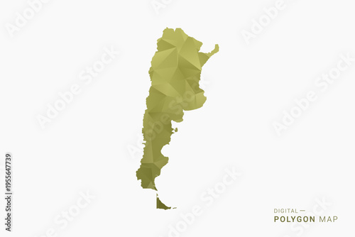 Argentina polygon map vector illustration in low poly geometric style, soft pastel colors with Olive green, clean silhouette on solid background, ideal for infographic.