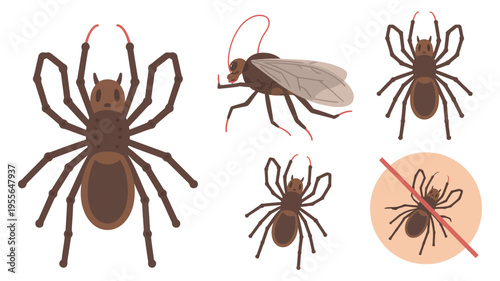 Collection of insects and arachnids including a spider and a cockroach