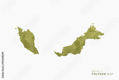 Malaysia polygon map vector illustration in low poly geometric style, soft pastel colors with Olive green, clean silhouette on solid background, ideal for infographic.