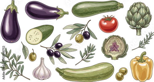 Mediterranean Vegetable and Olive Collection Vector Illustration Featuring Eggplant Zucchini Artichoke Garlic Pepper Tomato and Olive Branch Elements
