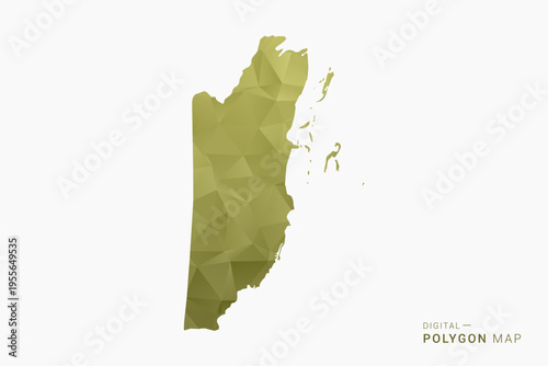 Belize polygon map vector illustration in low poly geometric style, soft pastel colors with Olive green, clean silhouette on solid background, ideal for infographic.