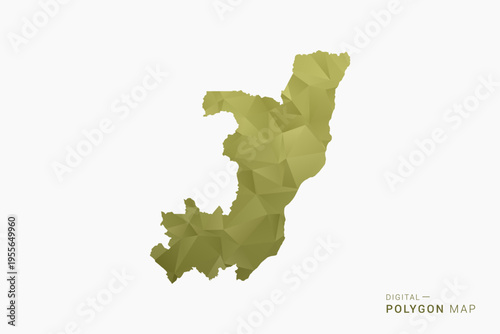 Congo polygon map vector illustration in low poly geometric style, soft pastel colors with Olive green, clean silhouette on solid background, ideal for infographic.