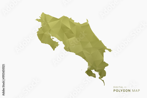 Costa Rica polygon map vector illustration in low poly geometric style, soft pastel colors with Olive green, clean silhouette on solid background, ideal for infographic.