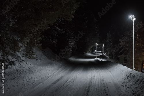 Russia, Artybash. The South of Western Siberia, the Altai Mountains. Night highway along the shore of Lake Teletskoye illuminated by the light of street lamps.