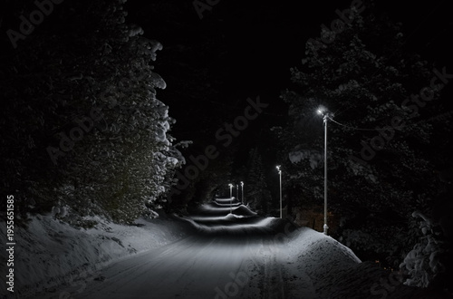 Russia, Artybash. The South of Western Siberia, the Altai Mountains. Night highway along the shore of Lake Teletskoye illuminated by the light of street lamps.