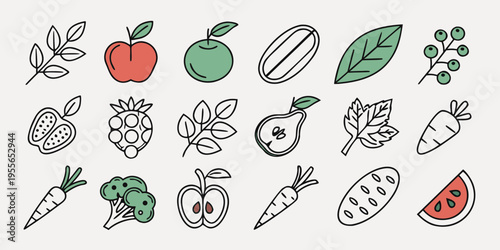 Fresh fruit and vegetable fruit vegetable apples leaves carrots broccoli watermelon