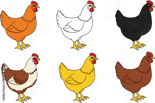 Chicken Breeds Cartoon Vector Illustration Set with Different Hen Colors, Farm Poultry Collection Design for Agriculture and Animal Education