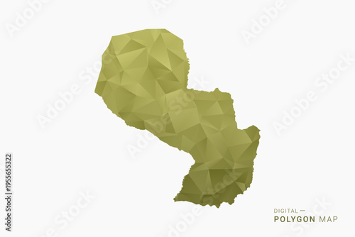 Paraguay polygon map vector illustration in low poly geometric style, soft pastel colors with Olive green, clean silhouette on solid background, ideal for infographic.