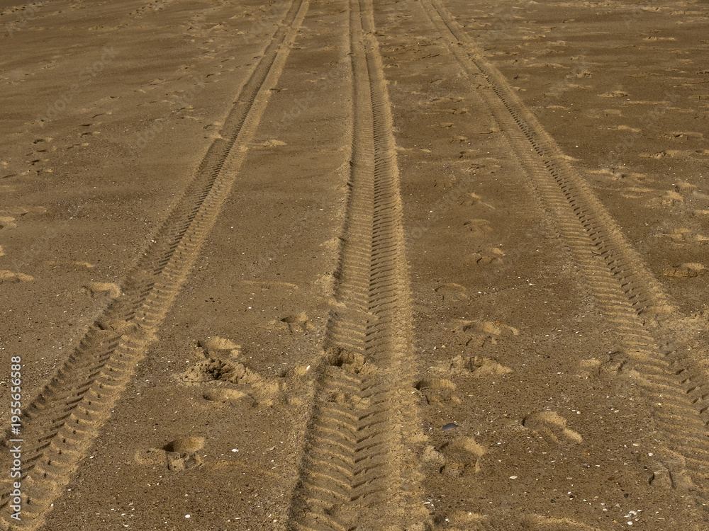 Obraz premium Tire tracks and footprints on a sandy beach by the ocean at sunrise.