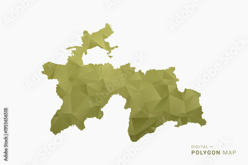 Tajikistan polygon map vector illustration in low poly geometric style, soft pastel colors with Olive green, clean silhouette on solid background, ideal for infographic.