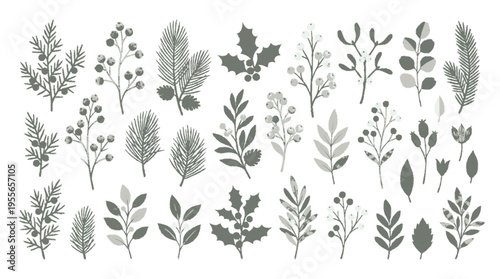 Elegant nordic christmas botanical illustrations of various plants and flowers in a flat style