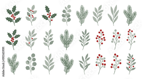 Winter greenery vector collection with assorted holly leaves and red berries on white background for seasonal decoration