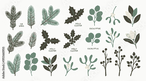 Holiday botanical illustration set with various green leaves and flowers on white background for seasonal decoration