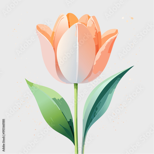 Pfirsichfarbene Tulpe