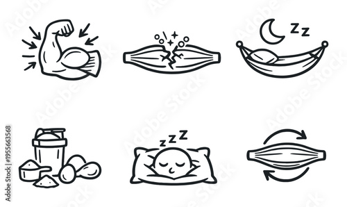 Muscle recovery and nutrition icons showing rest and repair