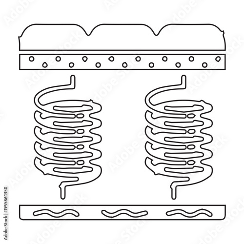 Mattress spring illustration