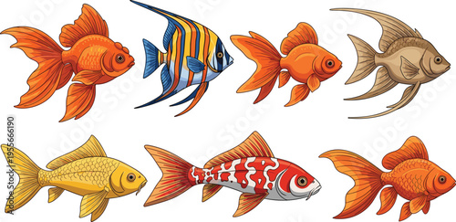 Colorful Ornamental Aquarium Fish Set Including Goldfish, Koi Carp, Angelfish, and Tropical Decorative Fish for Pet Store Designs and Vector Illustration Collection