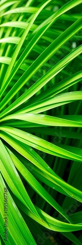 Abstract green pattern of synthetic blades, representing modern outdoor spaces,  clean,  artificial