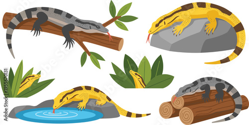 Monitor lizard and varanus reptile collection vector illustration with various poses on logs rocks and drinking water