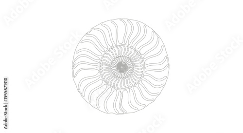 Ammonite Fossil Outline - Ancient Nautilus Shell Vector