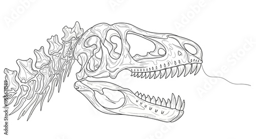 Dinosaur Skeleton Sketch - Tyrannosaurus Rex Skull and Spine Illustration