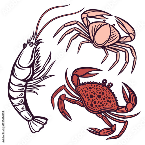 A drawing of a shrimp and two crabs