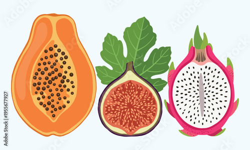 Set of halved tropical fruits with seeds papaya dragon fruit and fig