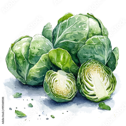 Brussels Sprouts, cute watercolor illustration with intricate patterns and vibrant splashes, isolated on a white background.