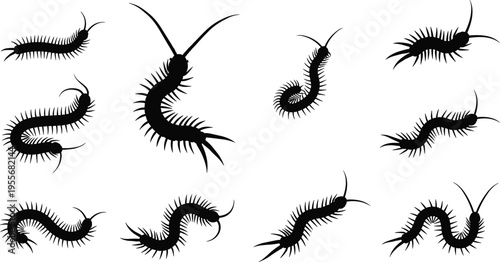 Centipede silhouette icons, crawling millipede insect symbols, venomous arthropod wildlife elements, pest control bug silhouettes, creepy invertebrate vector illustrations.