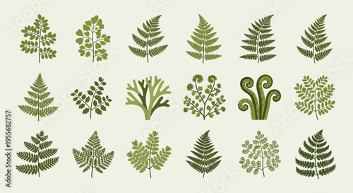 Collection of modern robot vacuum cleaners for smart home automation.