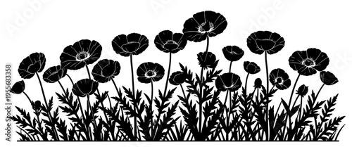 poppy flower border silhouette with wildflowers grass and botanical meadow elements black vector design for cricut vinyl cutting laser engraving stencil and decorative craft use