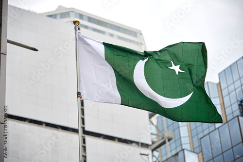 Quadro su tela Pakistani flag