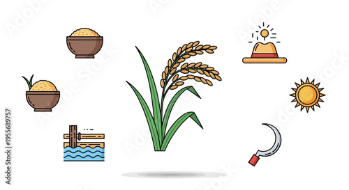 Wheat plant with green leaves growing.