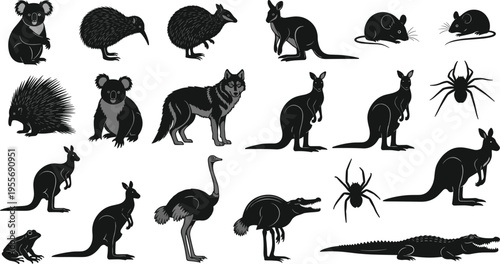 Black Australian animal silhouettes collection featuring kangaroo, koala, emu, crocodile, spider, and echidna vector icons isolated on white background for wildlife nature design projects.