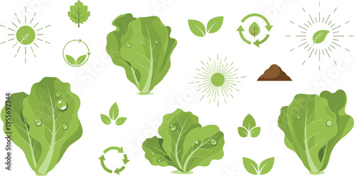 Organic lettuce eco concept collection with green leaves recycling symbols sunlight and soil agriculture vector illustration set