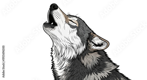 A wolf howls with its head tilted back.