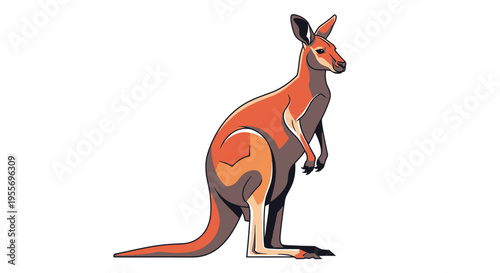 Stylized red kangaroo illustration isolated on white background.