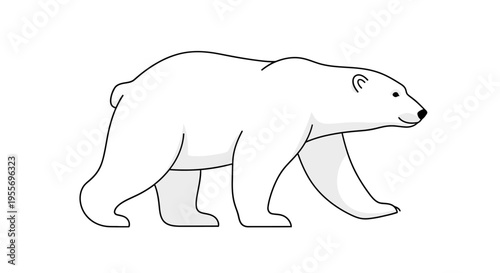 Illustration of a polar bear walking