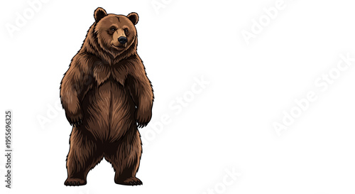 Illustration of a standing brown bear isolated on white