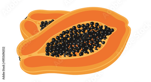 Fresh papaya fruit halves vector illustration.