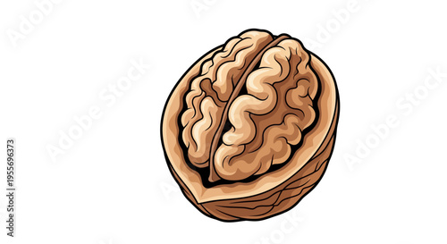 Walnut resembling a human brain, symbolizing healthy eating and intelligence.